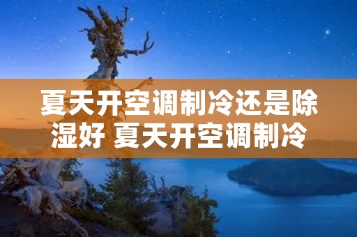 夏天开空调制冷还是除湿好 夏天开空调制冷模式好还是除湿好 夏天开空调制冷还是除湿好 夏天开空调制冷模式好还是除湿好