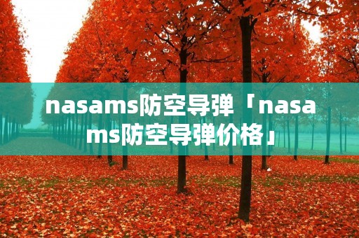 nasams防空导弹「nasams防空导弹价格」