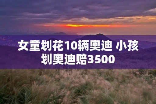 女童划花10辆奥迪 小孩划奥迪赔3500 女童划花10辆奥迪 小孩划奥迪赔3500