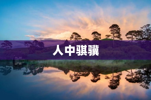 人中骐骥:追寻卓越的力量