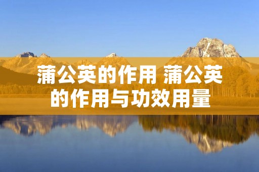 蒲公英的作用 蒲公英的作用与功效用量 蒲公英的作用 蒲公英的作用与功效用量