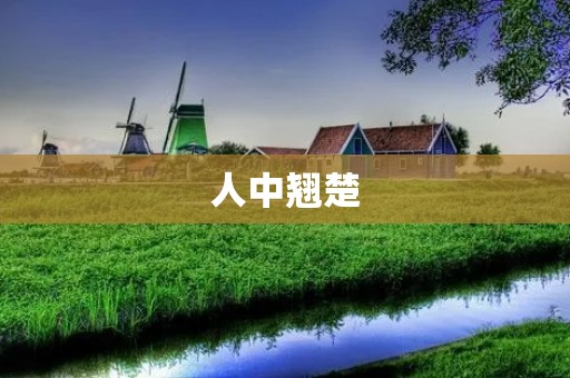 人中翘楚:追寻卓越的人生之路