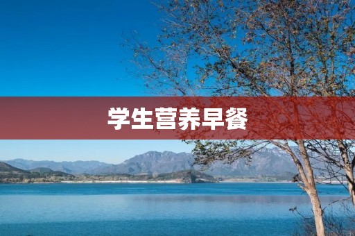 学生营养早餐：为学生提供健康成长的能量源