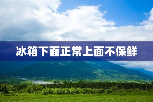 冰箱下面正常上面不保鲜:原因与解决办法 冰箱下面正常上面不保鲜:原因与解决办法