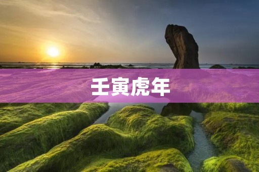 壬寅虎年:勇猛奋进的时代