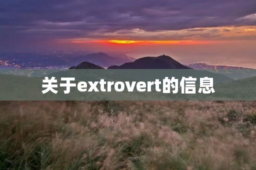 关于extrovert的信息
