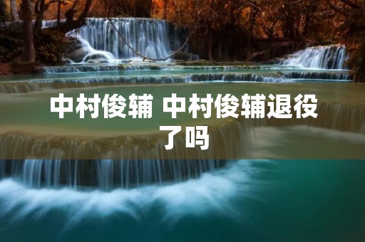 中村俊辅 中村俊辅退役了吗