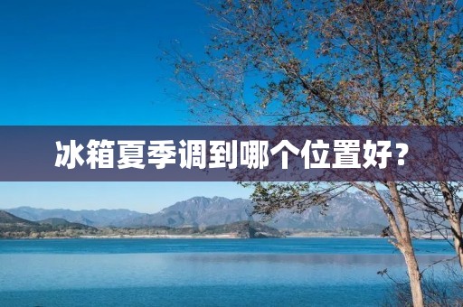 冰箱夏季调到哪个位置好? 冰箱夏季调到哪个位置好?