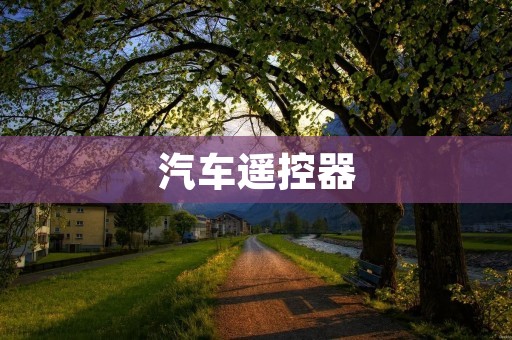 汽车遥控器:实现便捷操控的新时代 汽车遥控器:实现便捷操控的新时代