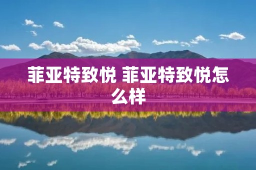 菲亚特致悦 菲亚特致悦怎么样