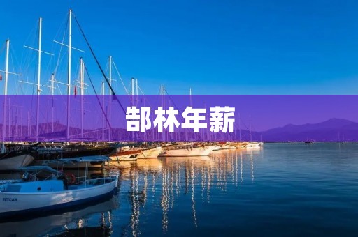 郜林年薪：中国足球薪资差距的缩影