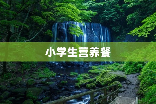 小学生营养餐：培养健康成长的关键