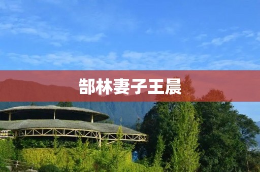 郜林妻子王晨：一个坚强而独立的女性