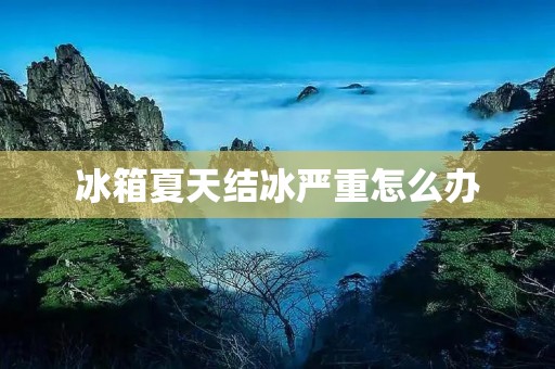 冰箱夏天结冰严重怎么办 冰箱夏天结冰严重怎么办