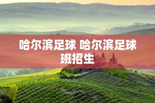 哈尔滨足球 哈尔滨足球班招生