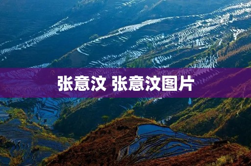 张意汶 张意汶图片