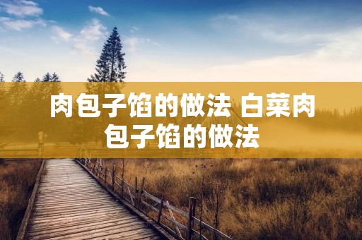 肉包子馅的做法 白菜肉包子馅的做法