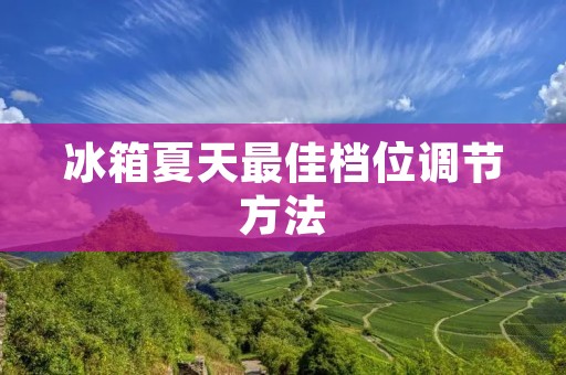 冰箱夏天最佳档位调节方法 冰箱夏天最佳档位调节方法