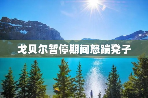 戈贝尔暂停期间怒踹凳子:一次情绪失控的表达 戈贝尔暂停期间怒踹凳子:一次情绪失控的表达