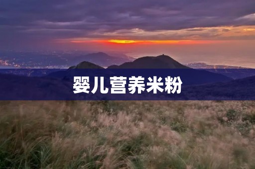 婴儿营养米粉：为宝宝健康成长提供全面营养
