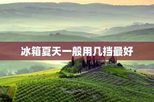 冰箱夏天一般用几挡最好