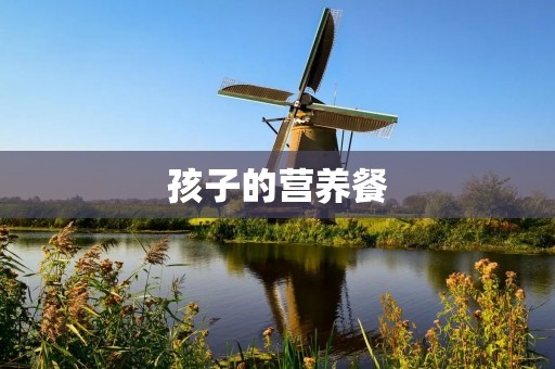 孩子的营养餐：为孩子提供全面均衡的食物