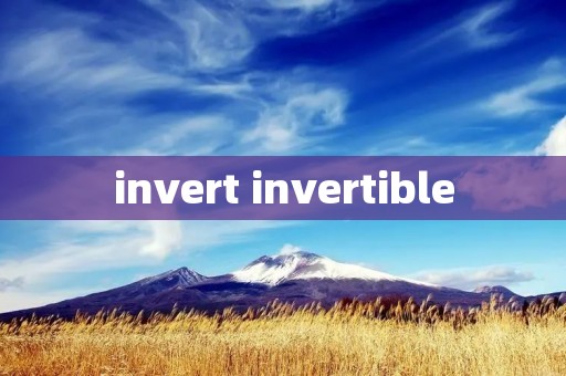 invert invertible