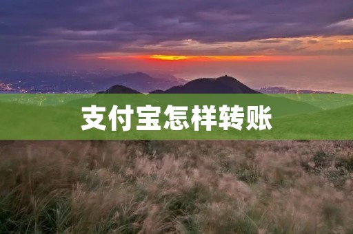 支付宝怎样转账:详细步骤与注意事项 支付宝怎样转账:详细步骤与注意事项