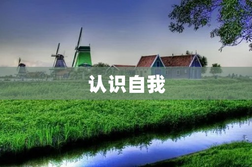 认识自我：探索内心的旅程