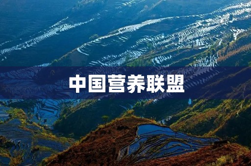 中国营养联盟：促进全民健康饮食的推动力