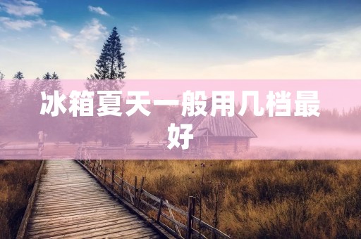 冰箱夏天一般用几档最好 冰箱夏天一般用几档最好