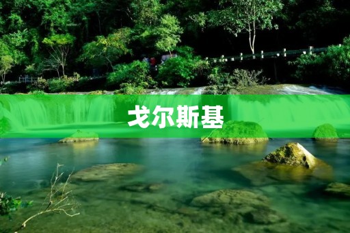 戈尔斯基:一位改革教育的先驱者 戈尔斯基:一位改革教育的先驱者