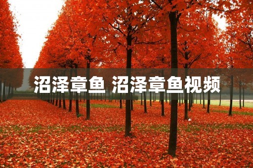 沼泽章鱼 沼泽章鱼视频