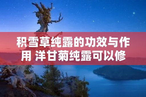 积雪草纯露的功效与作用 洋甘菊纯露可以修复激素脸吗