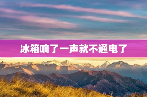 冰箱响了一声就不通电了:解析及解决方法 冰箱响了一声就不通电了:解析及解决方法