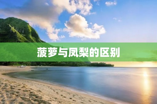 菠萝与凤梨的区别