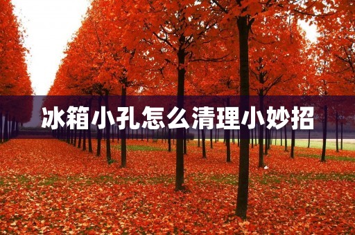 冰箱小孔怎么清理小妙招 冰箱小孔怎么清理小妙招