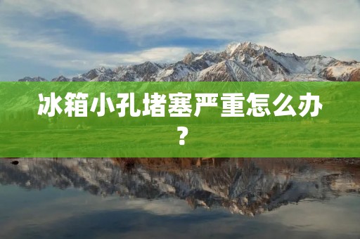 冰箱小孔堵塞严重怎么办? 冰箱小孔堵塞严重怎么办?
