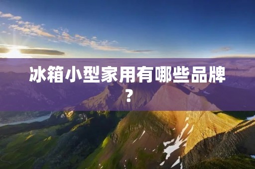 冰箱小型家用有哪些品牌？