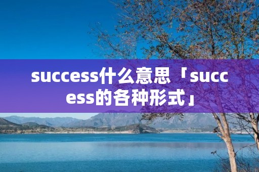 success什么意思「success的各种形式」