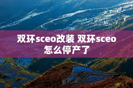 双环sceo改装 双环sceo怎么停产了 双环sceo改装 双环sceo怎么停产了