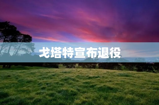 戈塔特宣布退役:职业生涯的终结与新篇章 戈塔特宣布退役:职业生涯的终结与新篇章