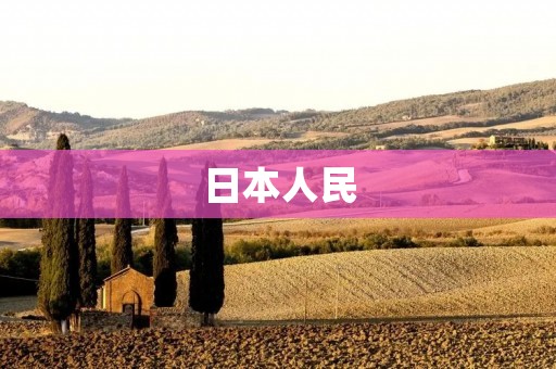 日本人民：历史、文化与价值观