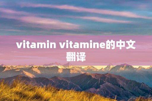 vitamin vitamine的中文翻译 vitamin vitamine的中文翻译