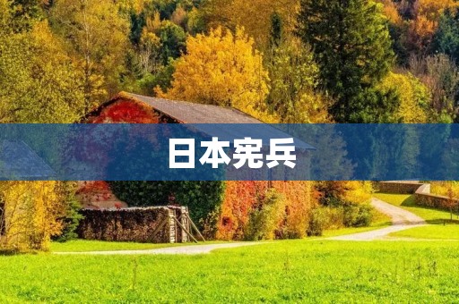 日本宪兵:历史与影响