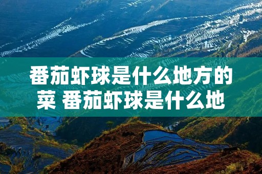 番茄虾球是什么地方的菜 番茄虾球是什么地方的菜啊