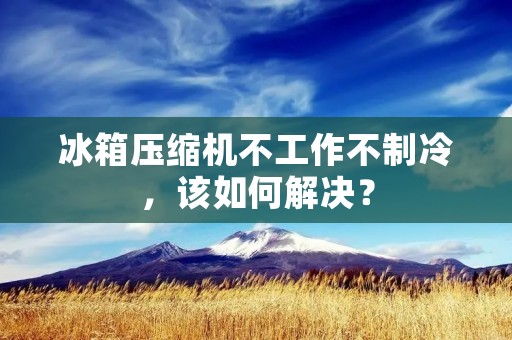 冰箱压缩机不工作不制冷，该如何解决？
