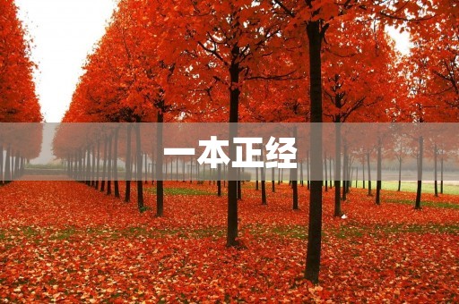 一本正经：如何在工作中保持专业态度