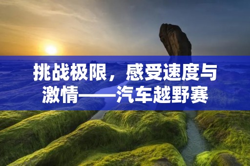 挑战极限,感受速度与**——汽车越野赛 挑战极限,感受速度与**——汽车越野赛