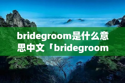 bridegroom是什么意思中文「bridegroom是什么意思中文翻译」